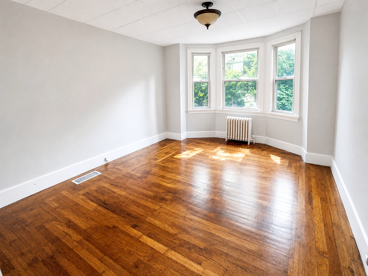 Image Title